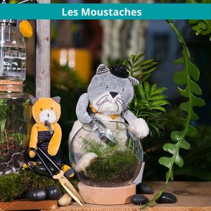 les moustaches